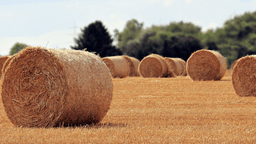 placeholder image to represent content