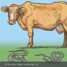 placeholder image to represent content