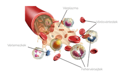 placeholder image to represent content