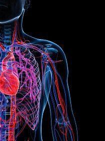 placeholder image to represent content