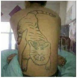 placeholder image to represent content