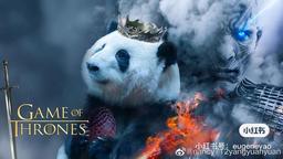 placeholder image to represent content