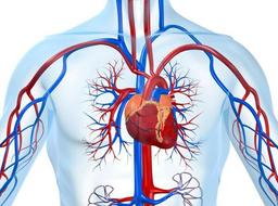 placeholder image to represent content