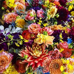 placeholder image to represent content