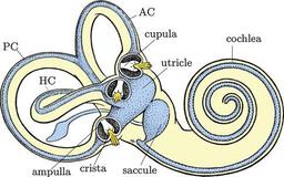 placeholder image to represent content