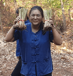 placeholder image to represent content