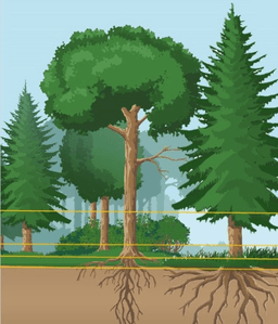 placeholder image to represent content