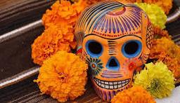 placeholder image to represent content