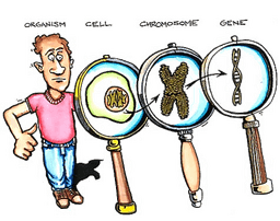 placeholder image to represent content