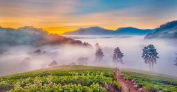 placeholder image to represent content