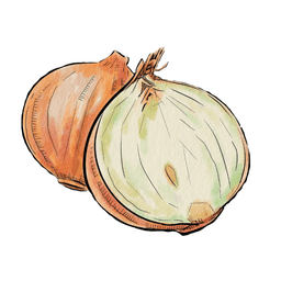 placeholder image to represent content