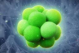 placeholder image to represent content