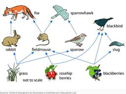 placeholder image to represent content