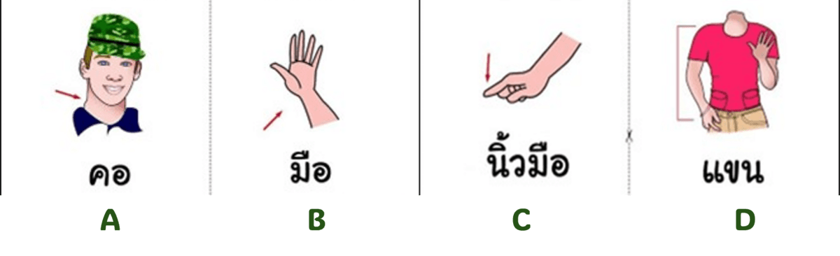 Question Image