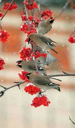 placeholder image to represent content