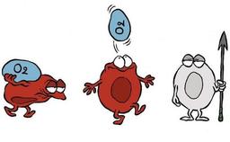 placeholder image to represent content