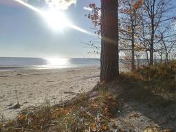 placeholder image to represent content