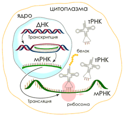 placeholder image to represent content