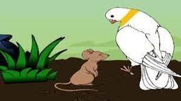 placeholder image to represent content