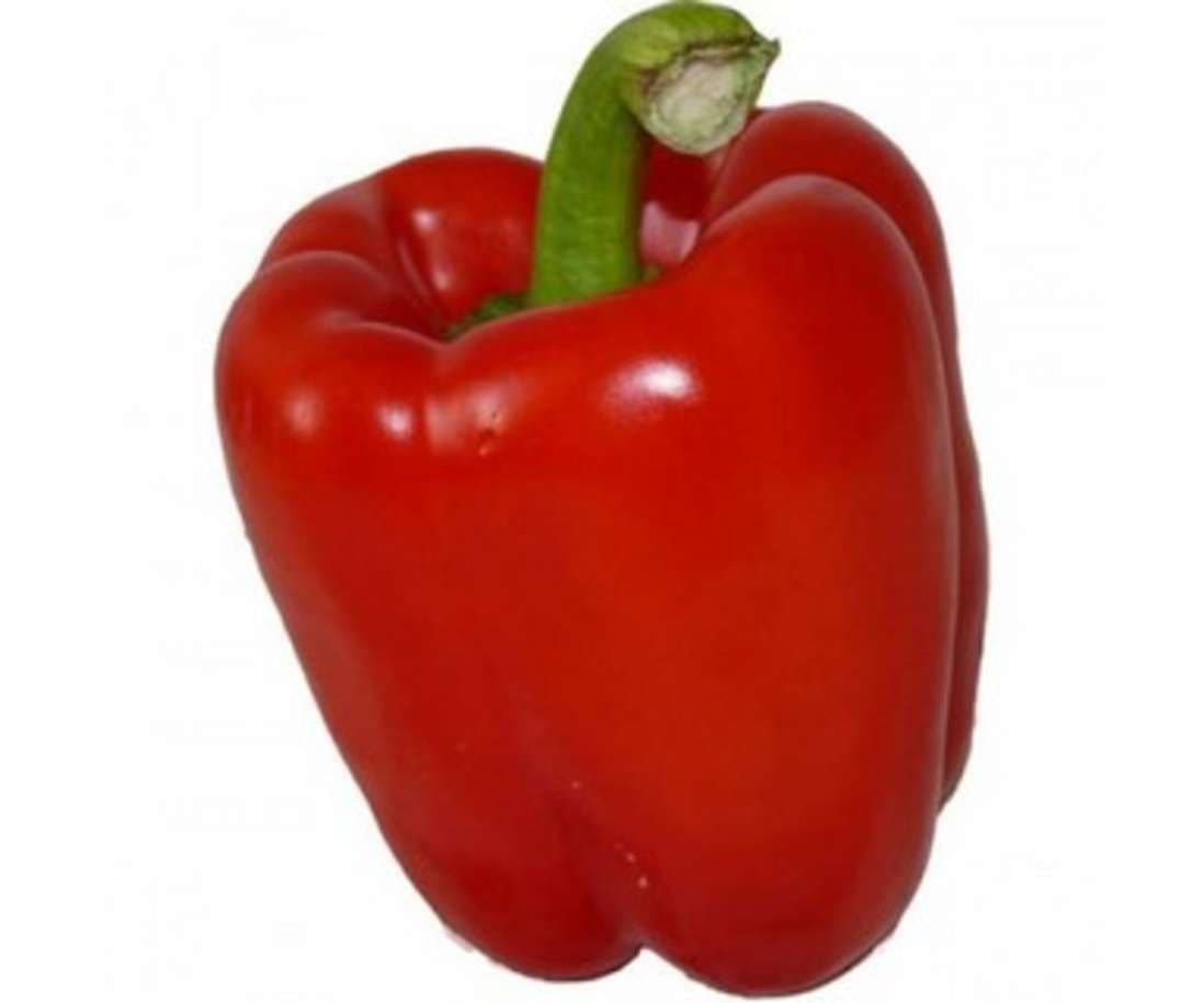 Answer Image