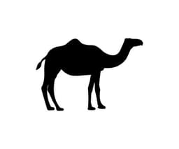 placeholder image to represent content