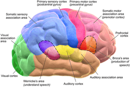 placeholder image to represent content