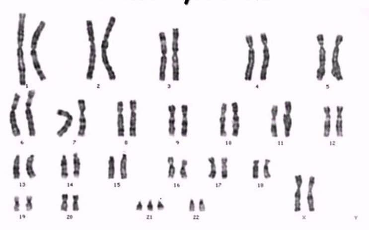 Question Image