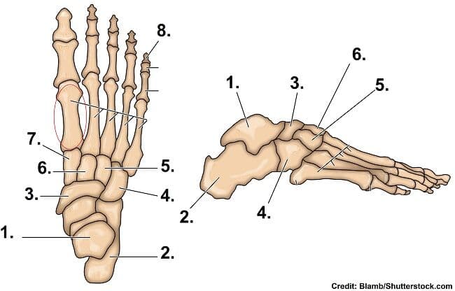 Question Image