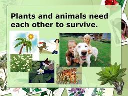 placeholder image to represent content