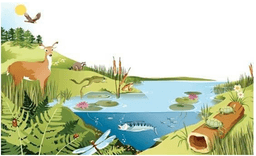 placeholder image to represent content