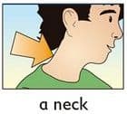 Answer Image