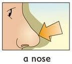 Answer Image
