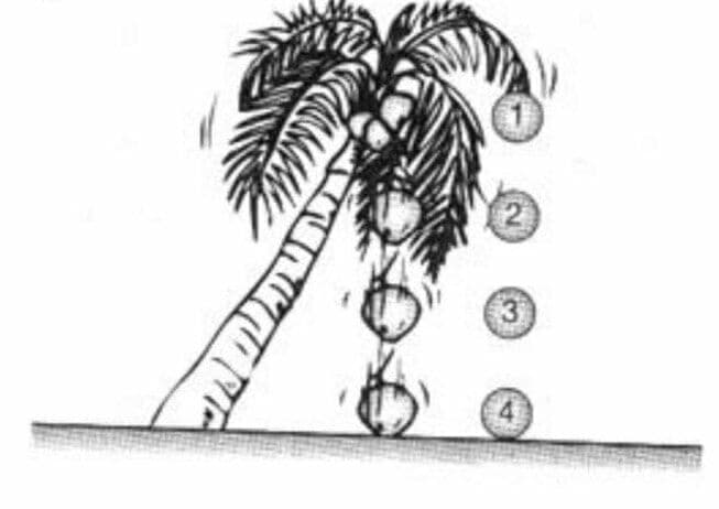 Question Image