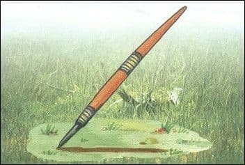 Question Image