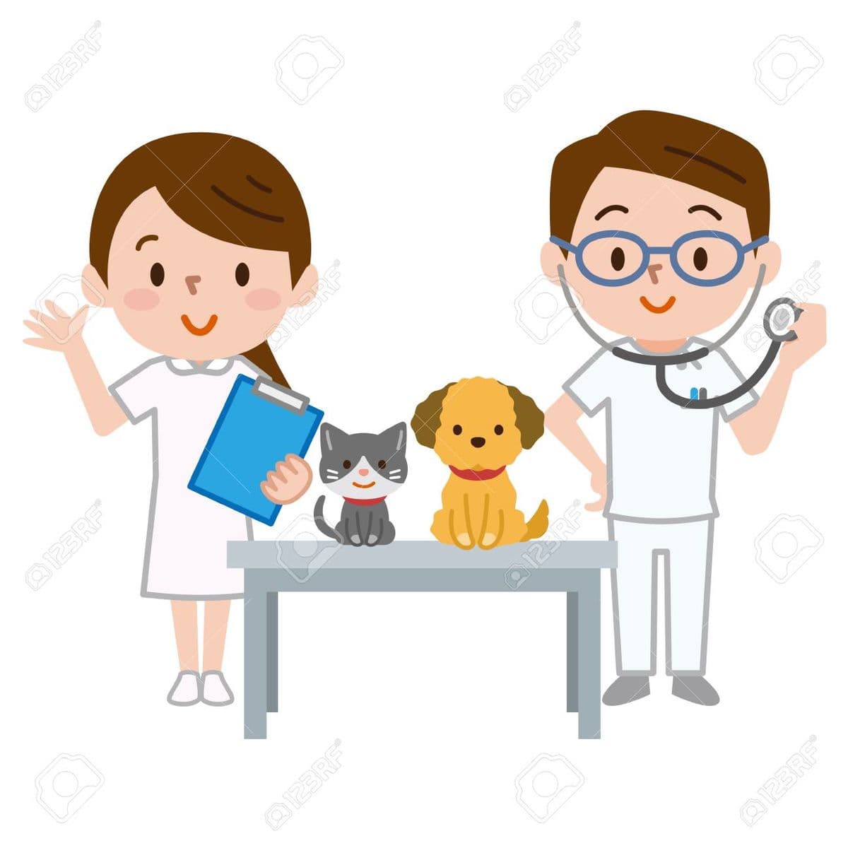Answer Image