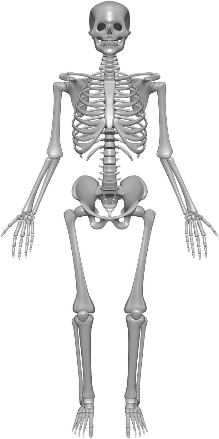 Question Image