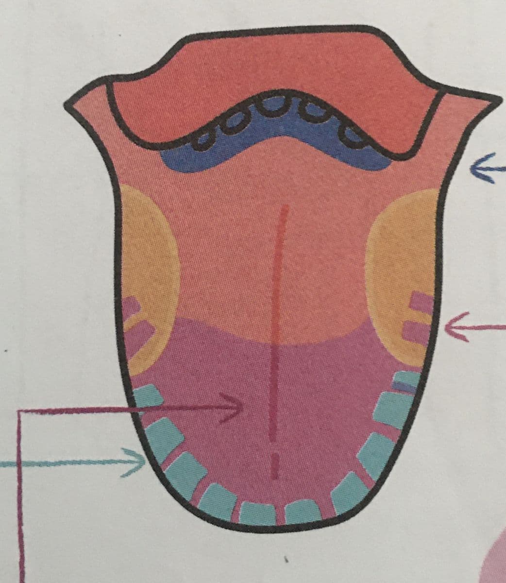 Question Image