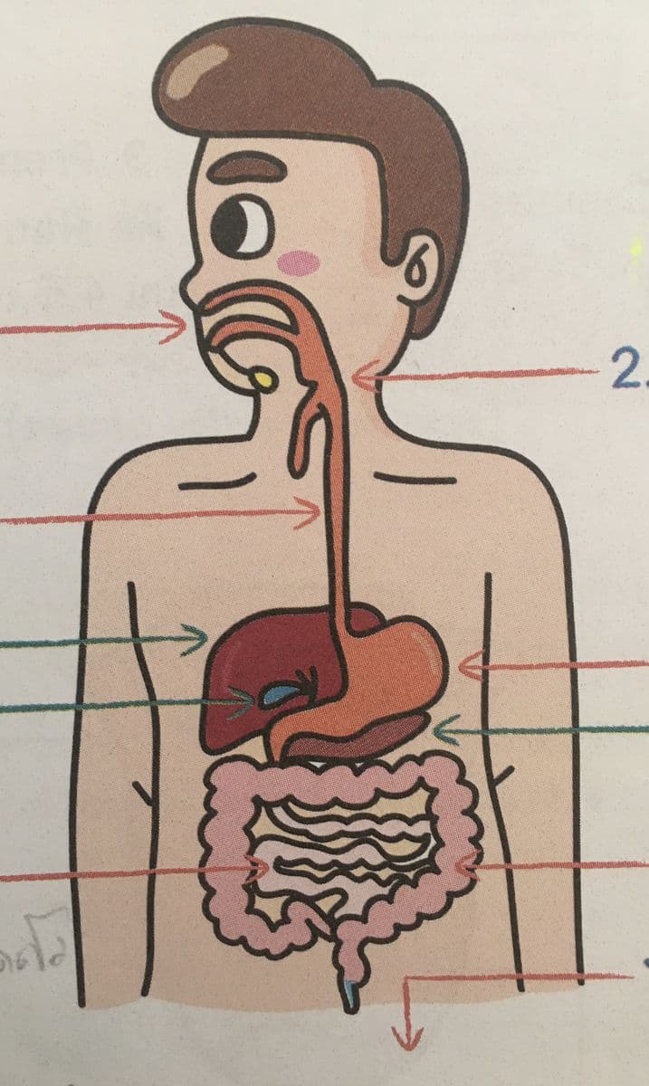 Question Image