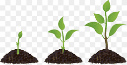 placeholder image to represent content