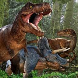 placeholder image to represent content