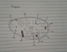 placeholder image to represent content