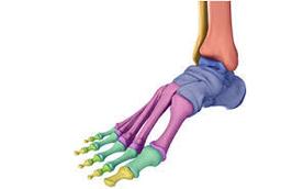 placeholder image to represent content