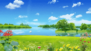 placeholder image to represent content