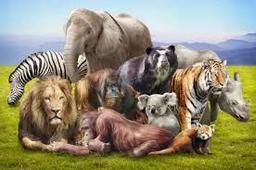 placeholder image to represent content