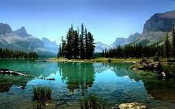 placeholder image to represent content