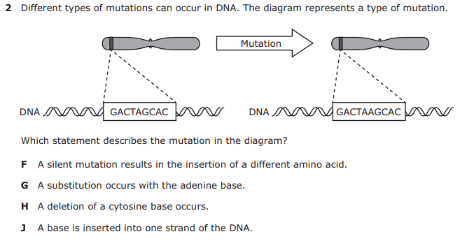 Question Image
