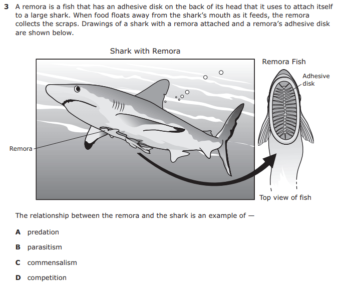 Question Image