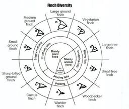 placeholder image to represent content