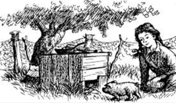 placeholder image to represent content