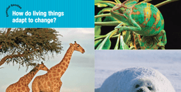 placeholder image to represent content